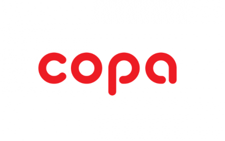 Горелка  для газового котла COPA EON (7886179)